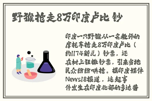 bt天堂资源种子在线